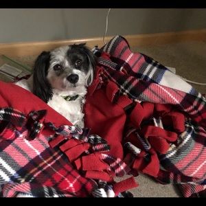 Meet your Posher, Joanne